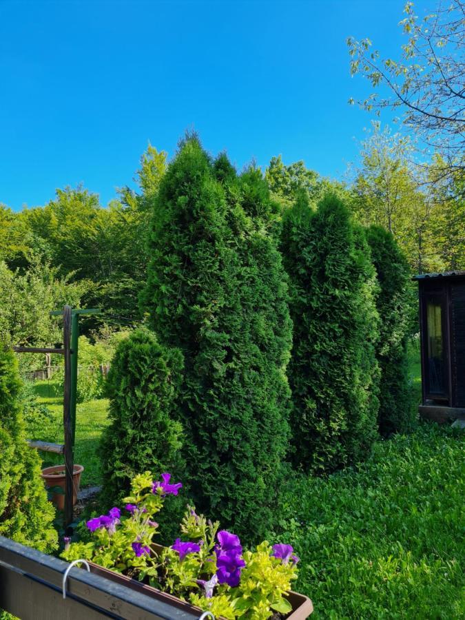 Kuca Za Odmor Hodak Plitvička Jezera Esterno foto