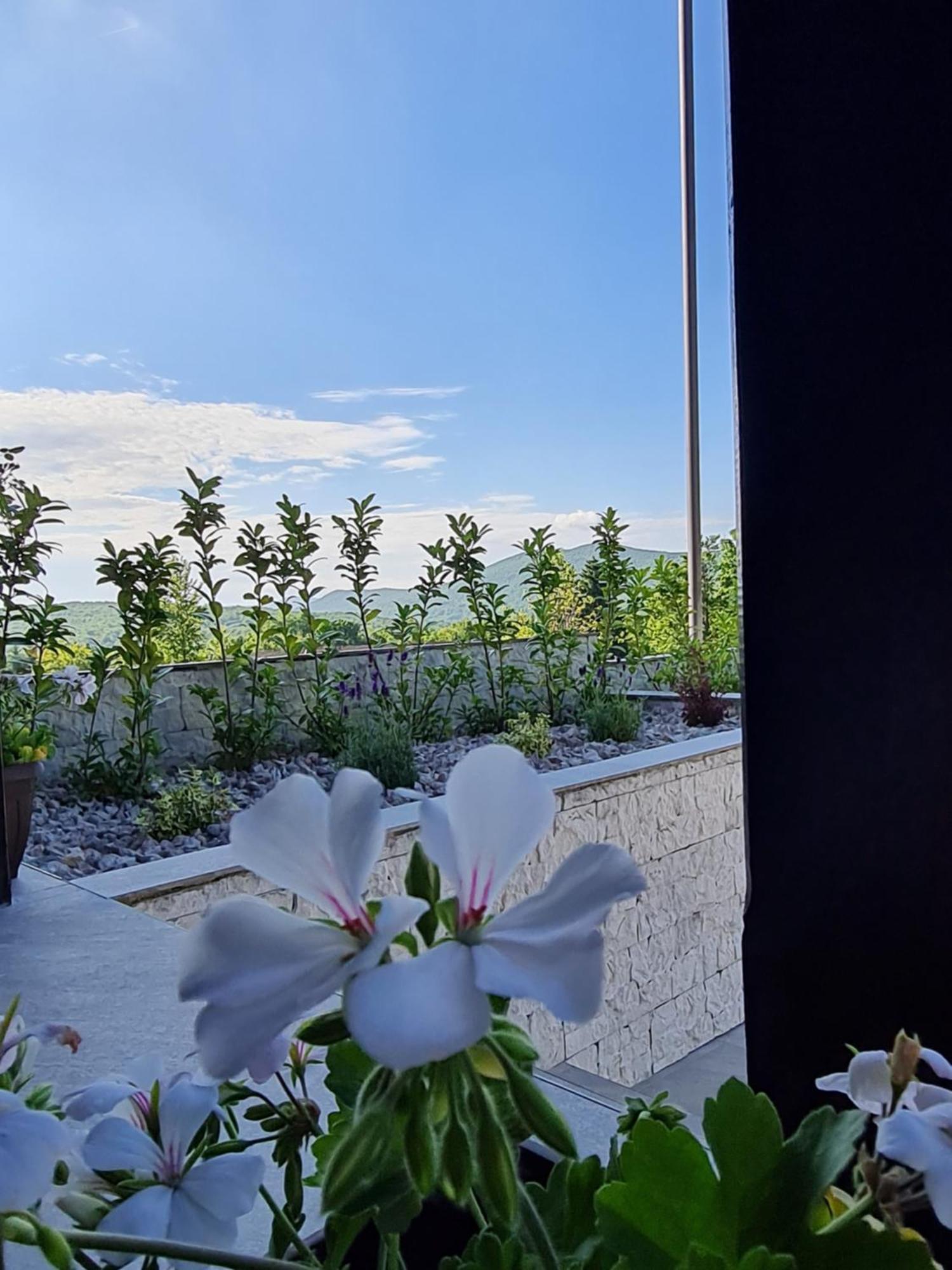 Kuca Za Odmor Hodak Plitvička Jezera Esterno foto